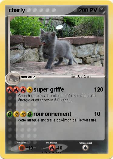 Pokemon charly