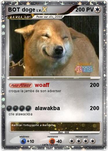 Pokemon BOT doge