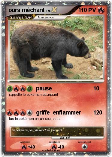 Pokemon ours méchant