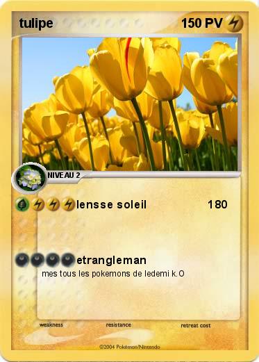 Pokemon tulipe