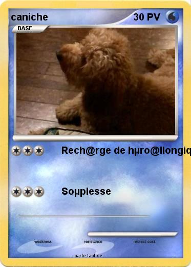 Pokemon caniche
