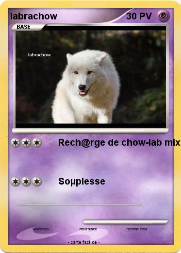 Pokemon labrachow