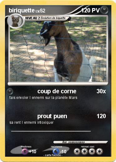 Pokemon biriquette