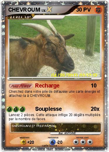 Pokemon CHEVROUM