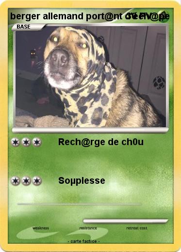 Pokemon berger allemand port@nt d'éch@pe