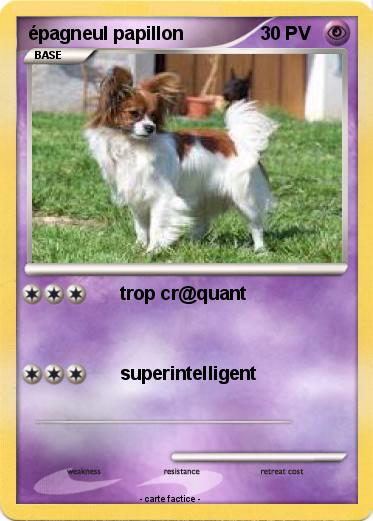 Pokemon épagneul papillon