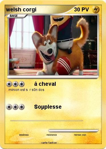 Pokemon welsh corgi