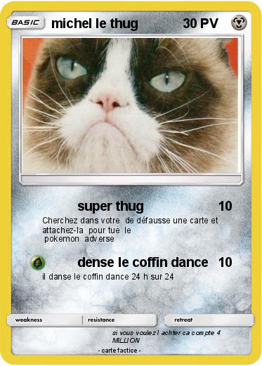 Pokemon michel le thug
