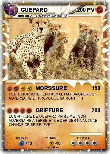 Pokemon GUEPARD