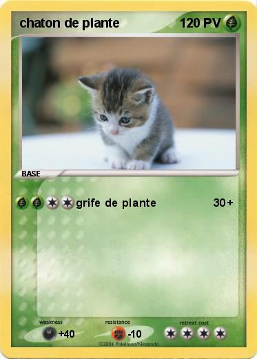 Pokemon chaton de plante