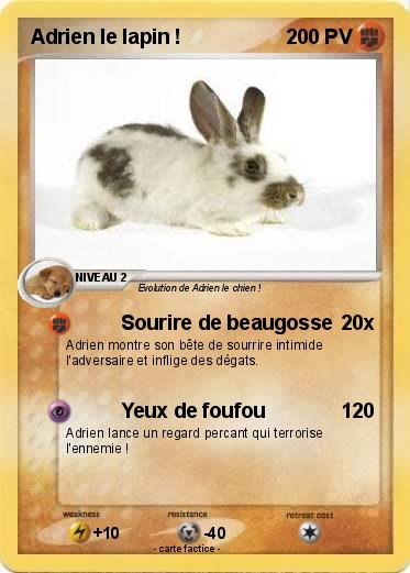 Pokemon Adrien le lapin !