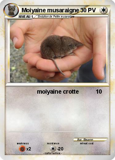 Pokemon Moiyaine musaraigne