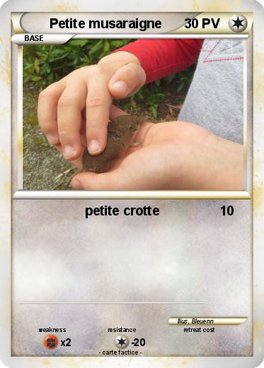 Pokemon Petite musaraigne