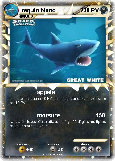 Pokemon requin blanc