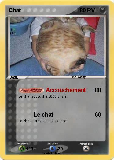 Pokemon Chat