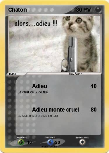 Pokemon Chaton