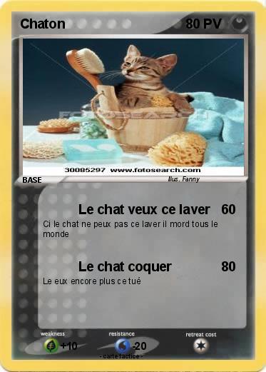Pokemon Chaton