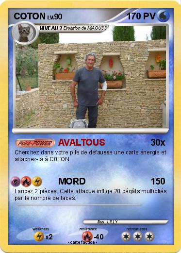 Pokemon COTON