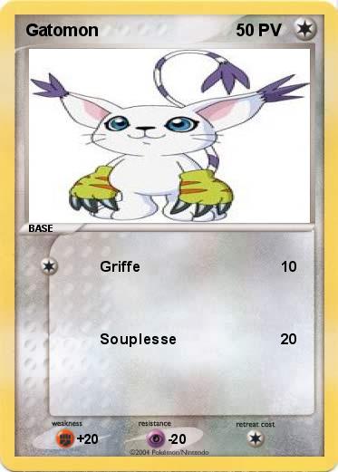 Pokemon Gatomon