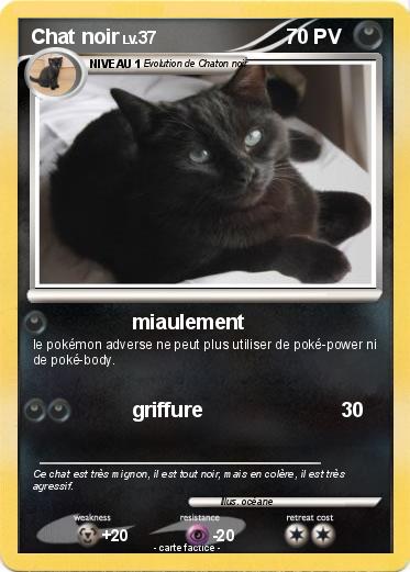 Pokemon Chat noir
