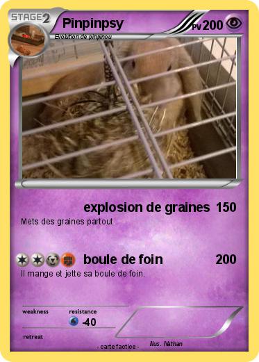 Pokemon Pinpinpsy