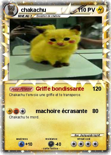 Pokemon chakachu