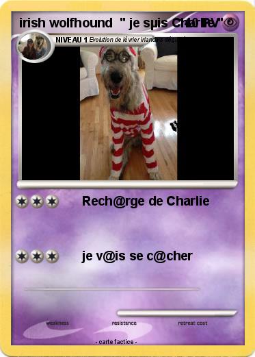 Pokemon irish wolfhound  " je sµis Charlie "