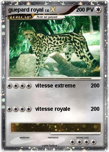Pokemon guepard royal