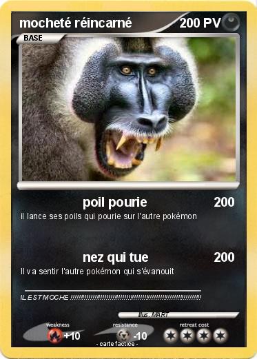 Pokemon mocheté réincarné