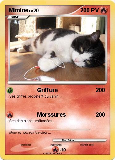 Pokemon Mimine