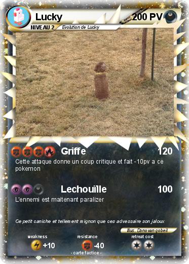 Pokemon Lucky