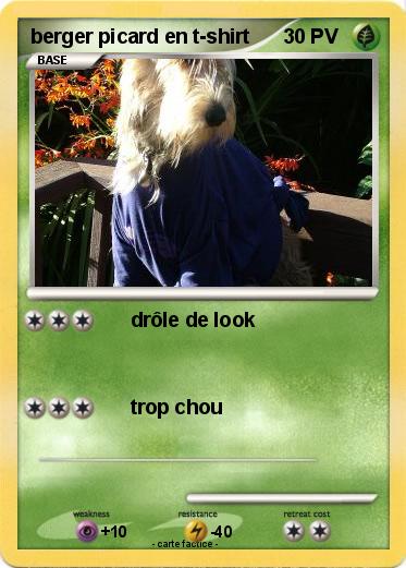 Pokemon berger picard en t-shirt