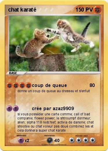Pokemon chat karaté