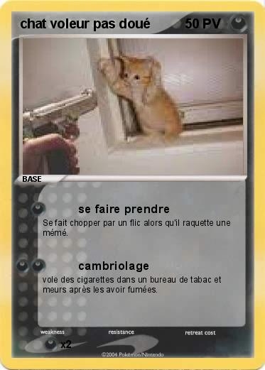 Pokemon chat voleur pas doué 