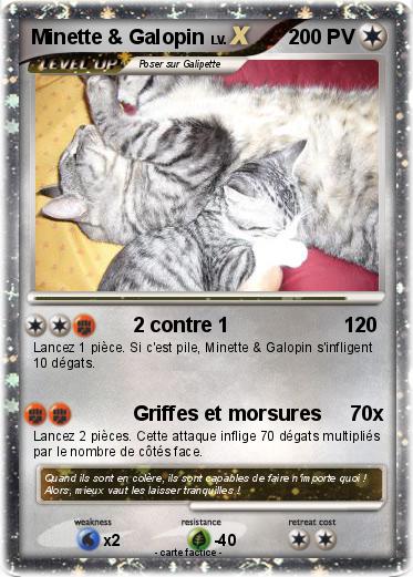 Pokemon Minette & Galopin