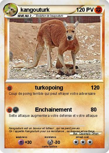 Pokemon kangouturk