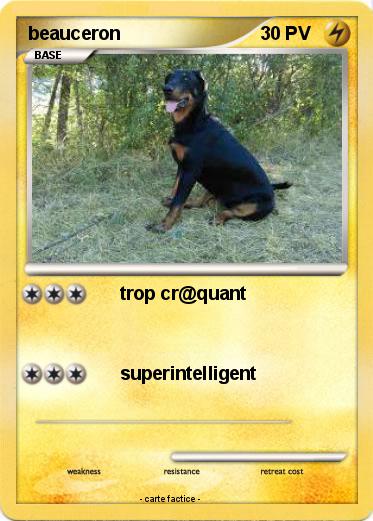 Pokemon beauceron