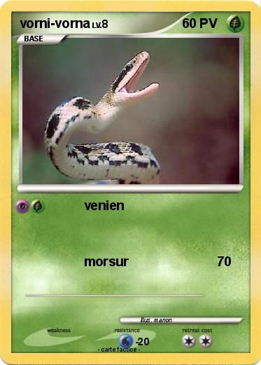 Pokemon vorni-vorna