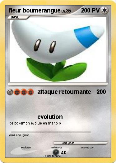 Pokemon fleur boumerangue