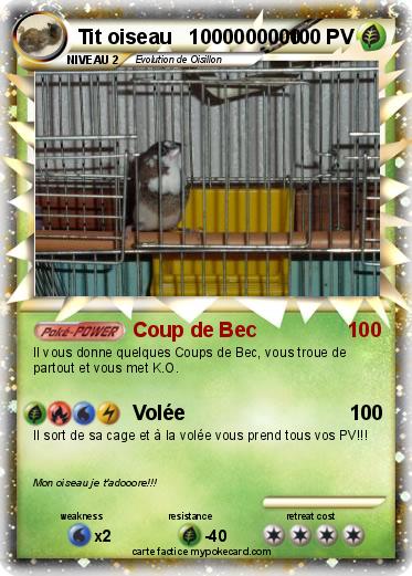 Pokemon Tit oiseau   1000000000