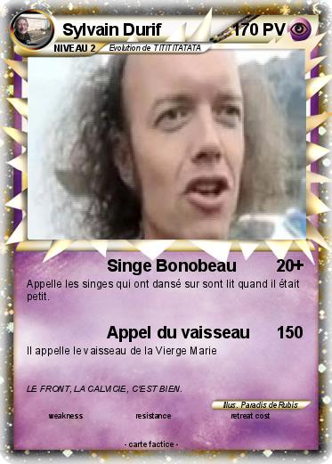 Pokemon Sylvain Durif