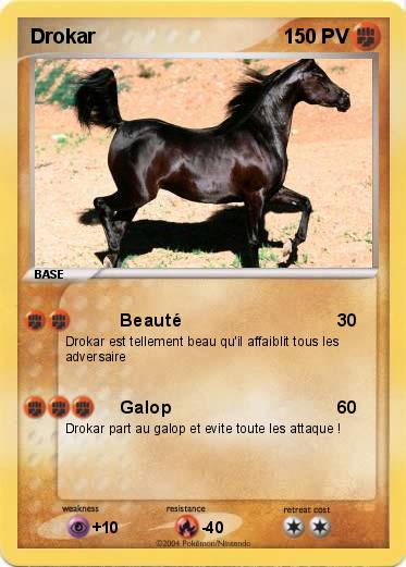 Pokemon Drokar