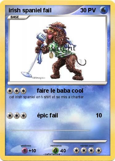 Pokemon irish spaniel fail