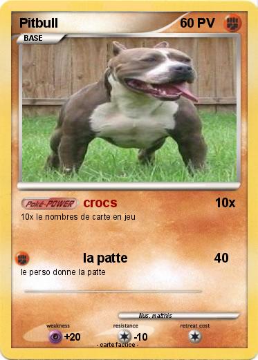 Pokemon Pitbull
