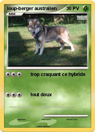 Pokemon loup-berger australien