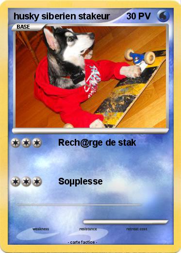 Pokemon husky siberien stakeur
