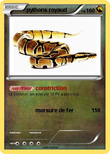 Pokemon pythons royaud