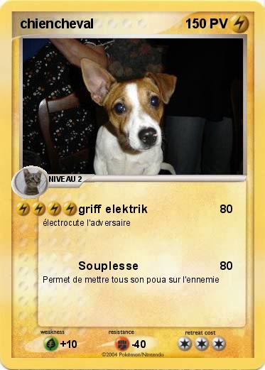 Pokemon chiencheval