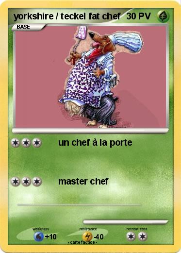 Pokemon yorkshire / teckel fat chef