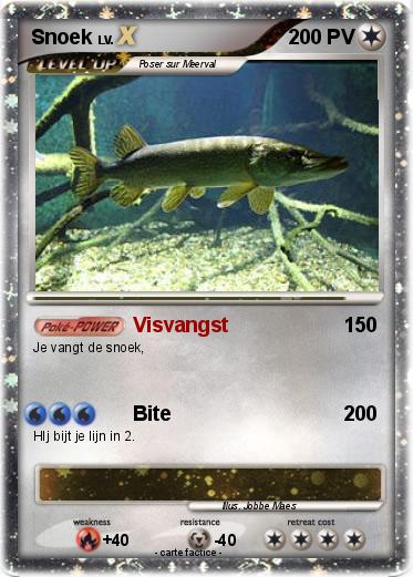 Pokemon Snoek